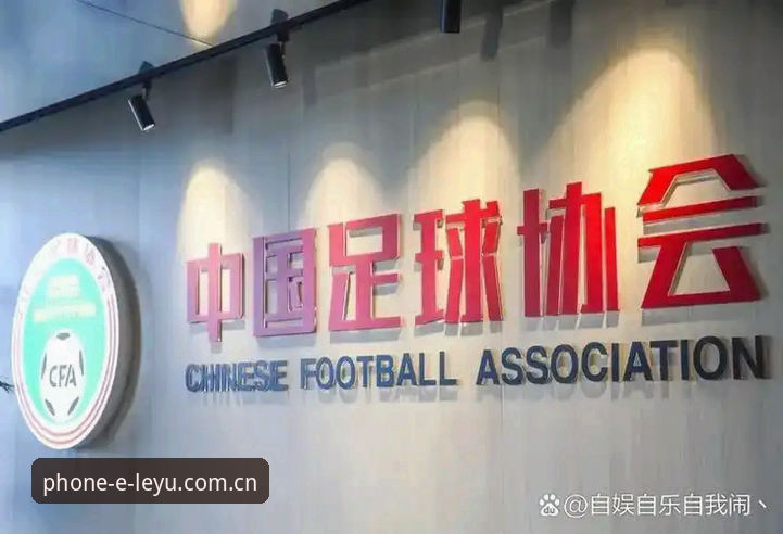 乐鱼娱乐平台 资深用户分享:从足协禁足名单看足球生态的深层变革